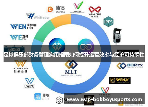 足球俱乐部财务管理实用指南如何提升运营效率与经济可持续性
