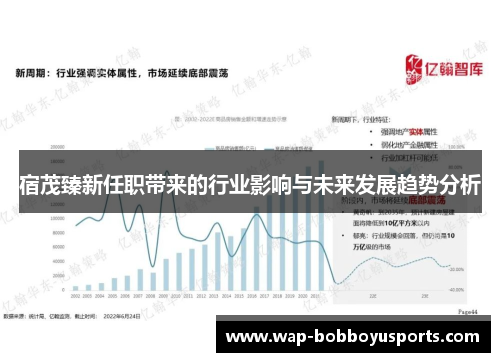 宿茂臻新任职带来的行业影响与未来发展趋势分析