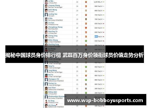揭秘中国球员身价排行榜 武磊百万身价领衔球员价值走势分析