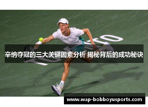 辛纳夺冠的三大关键因素分析 揭秘背后的成功秘诀