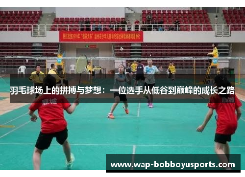 羽毛球场上的拼搏与梦想：一位选手从低谷到巅峰的成长之路