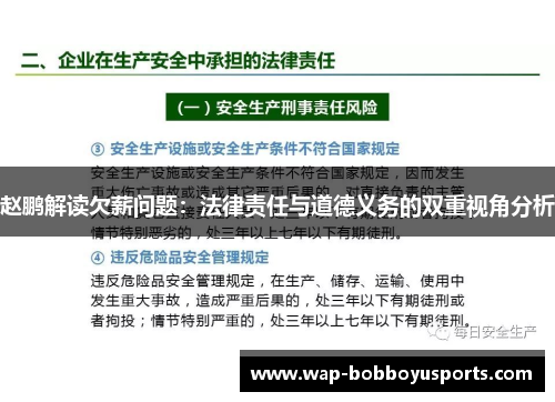 赵鹏解读欠薪问题：法律责任与道德义务的双重视角分析