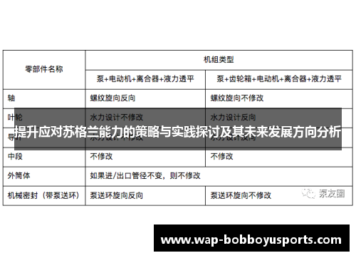 提升应对苏格兰能力的策略与实践探讨及其未来发展方向分析