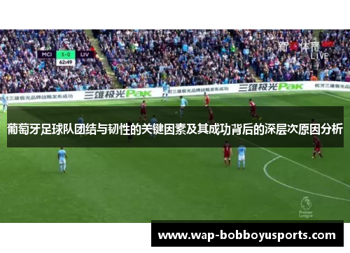 葡萄牙足球队团结与韧性的关键因素及其成功背后的深层次原因分析