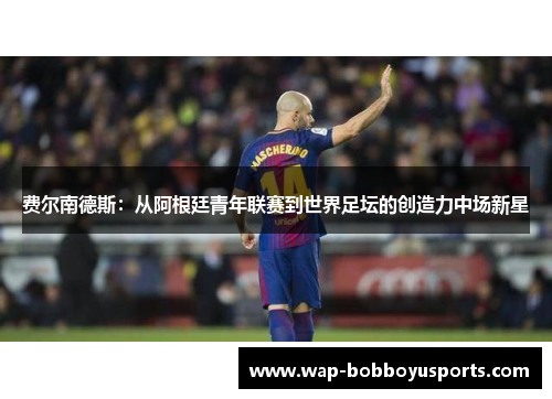 费尔南德斯:从阿根廷青年联赛到世界足坛的创造力中场新星 费尔南德斯:从阿根廷青年联赛到世界足坛的创造力中场新星